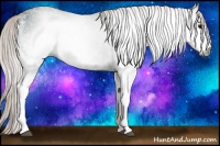 Horse Color:Gray White Spotted Silver Black Ice
