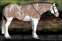 Horse Color:Bay Ice Splash 