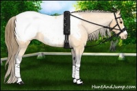 Horse Color:Buckskin Snowcap 