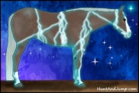 Horse Color:Thunderstruck Silver Black Splash 