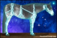 Horse Color:Thunderstruck White Spotted Black Rabicano 