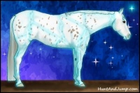 Horse Color:Thunderstruck Classic Champagne Appaloosa Rabicano 