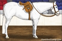 Horse Color:White Spotted Perlino Splash Appaloosa 