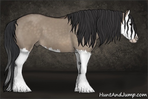 Horse Color: Brown Dun Splash 