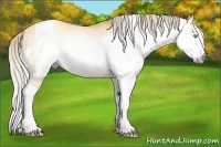 Horse Color:Gray Silver Amber Cream Champagne Dun Tobiano 