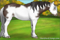 Horse Color:Brown Sabino Splash Frame 
