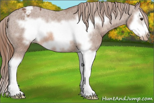 Horse Color: Liver Chestnut Sabino Splash Frame Blanket 