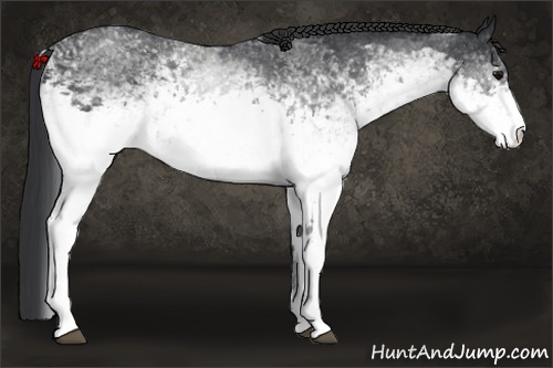 Horse Color: White Spotted Black 