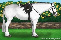 Horse Color:Gray White Spotted Black Varnish 