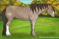 Horse Color:Classic Champagne 