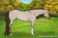 Horse Color:Liver Red Dun Roan Rabicano