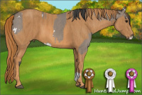 Horse Color:White Spotted Brown Dun Splash Tobiano  Brindle