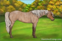 Horse Color:Silver Buckskin Roan 