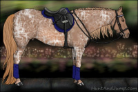 Horse Color:Chestnut Ice Rabicano