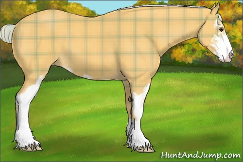 Horse Color: Plaid  Palomino Sabino 
