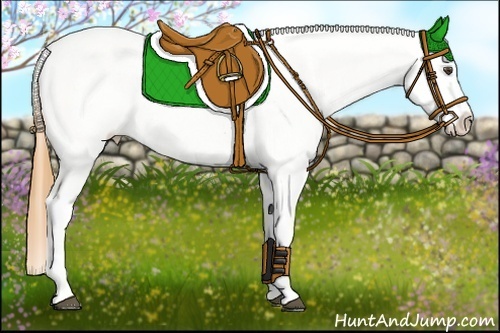 Horse Color:Buckskin Roan Dun Tobiano Appaloosa 