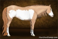 Horse Color:Gold Champagne Frame