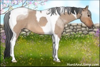 Horse Color:Bay Roan Dun Tobiano 