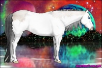 Horse Color:Bay Roan Dun Splash 