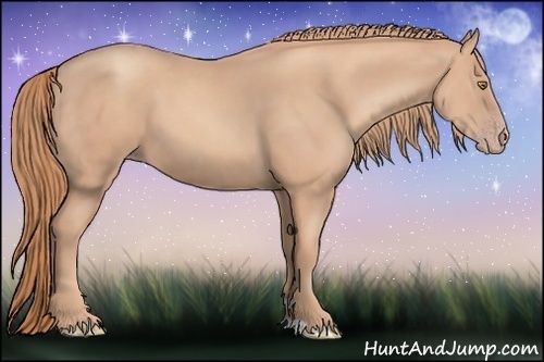 Horse Color: Gold Champagne 