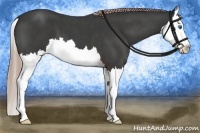 Horse Color:Liver Red Roan Splash