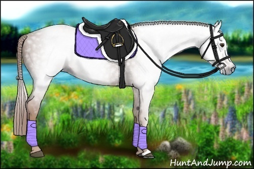 Horse Color:Gray Chestnut 