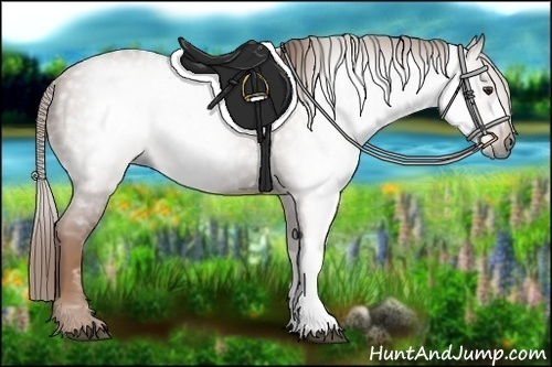 Horse Color:Gray Chestnut 