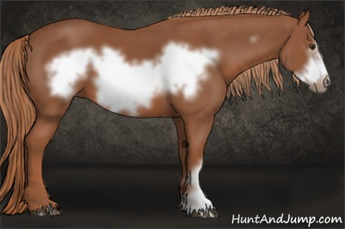 Horse Color: Liver Chestnut Frame 