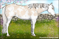 Horse Color:White Spotted Silver Sable Champagne Dun Splash 