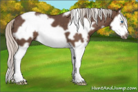 Horse Color:White Spotted Silver Black Splash Frame