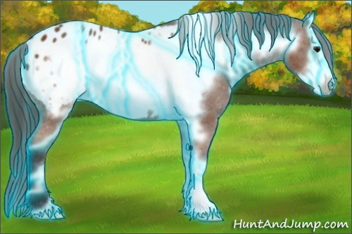 Horse Color: Thunderstruck Bay Frame Blanket 