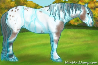 Horse Color:Thunderstruck Bay Frame Appaloosa 
