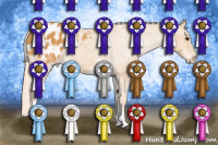 Horse Color:White Spotted Palomino Varnish 