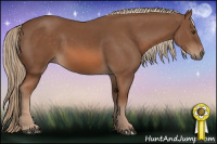 Horse Color:Chestnut Rabicano