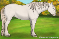 Horse Color:Smoky Creme Roan Dun 