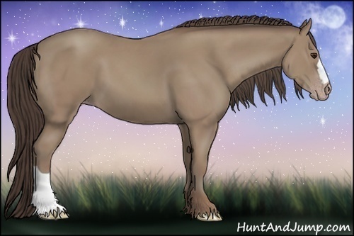 Horse Color: Classic Champagne 