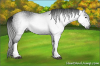 Horse Color:Gray Smoky Black 