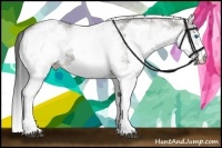 Horse Color:White Spotted Grullo Splash 