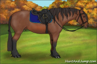 Horse Color:Bay Roan 