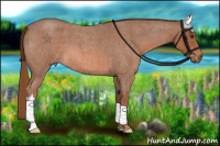 Horse Color:Liver Red Roan 