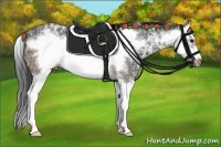 Horse Color:Brown Ice Splash Frame Rabicano 