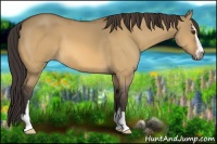 Horse Color:Buckskin Dun Sabino 