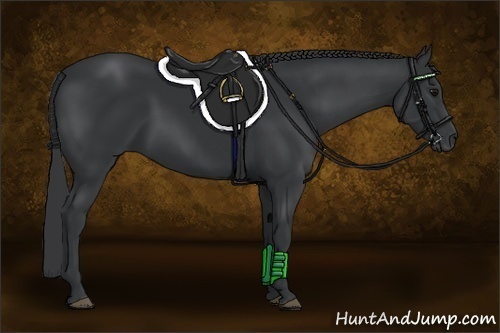 Horse Color: Black 