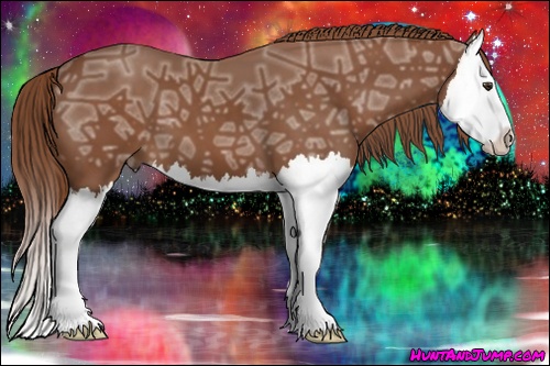 Horse Color: Chestnut Ice Splash 