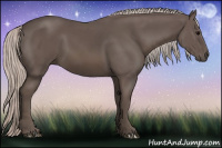 Horse Color:Silver Black 