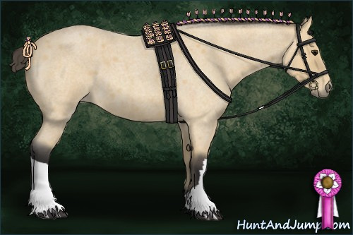 Horse Color: Buckskin Roan 