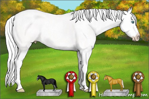 Horse Color: Cremello Sabino 