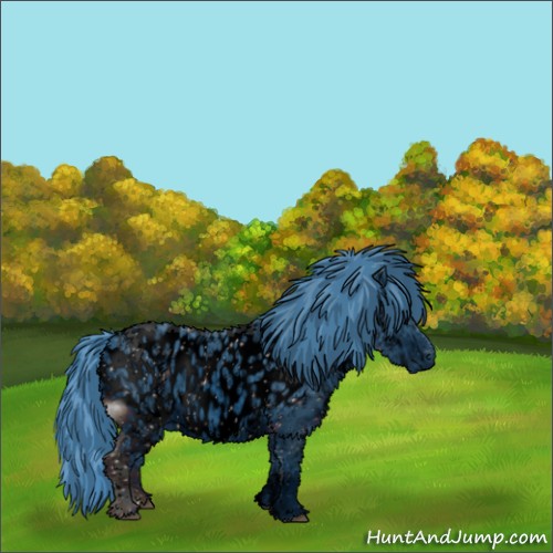 Horse Color: ERROR: UNKNOWN ANOMALY