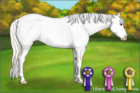 Horse Color:Palomino Roan Splash Blanket Rabicano 