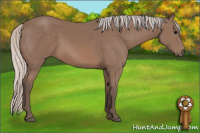 Horse Color:Silver Black Rabicano